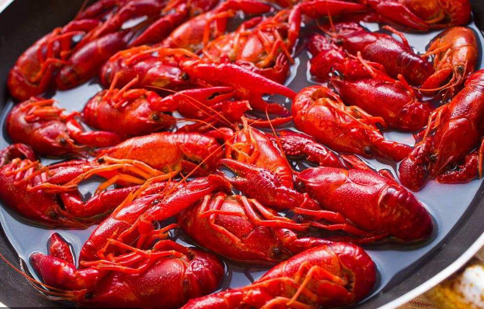 鹵煮小龍蝦培訓(xùn)